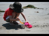 IMG_7141.JPG