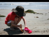 IMG_7142.JPG