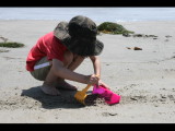 IMG_7143.JPG