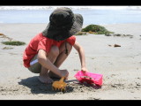 IMG_7144.JPG