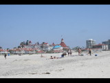 IMG_7154.JPG