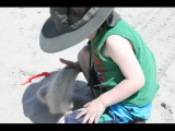 IMG_7175.JPG