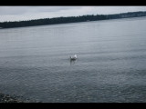IMG_7279.JPG