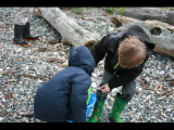 IMG_7287.JPG