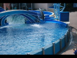 IMG_7292.JPG