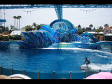 IMG_7320.JPG