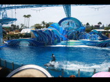 IMG_7321.JPG