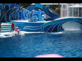 IMG_7322.JPG