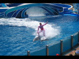 IMG_7324.JPG