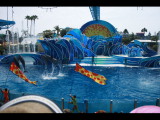 IMG_7327.JPG
