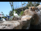 IMG_7345.JPG