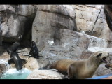 IMG_7347.JPG