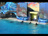 IMG_7356.JPG