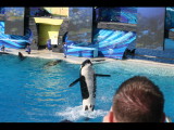 IMG_7359.JPG