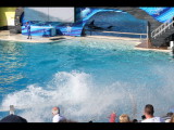 IMG_7394.JPG