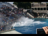 IMG_7395.JPG