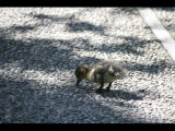 IMG_7402.JPG