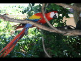IMG_7422.JPG