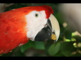 IMG_7423.JPG