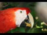 IMG_7424.JPG