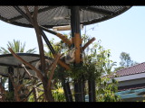 IMG_7441.JPG