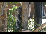 IMG_7444.JPG