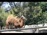 IMG_7453.JPG