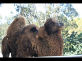 IMG_7459.JPG