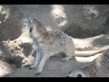 IMG_7461.JPG