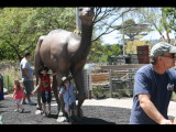 IMG_7474.JPG