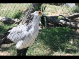 IMG_7478.JPG