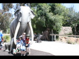 IMG_7482.JPG