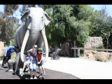 IMG_7483.JPG