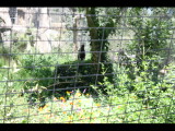 IMG_7499.JPG