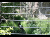 IMG_7500.JPG