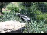 IMG_7501.JPG