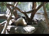 IMG_7503.JPG