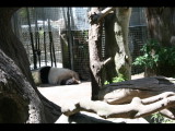 IMG_7504.JPG