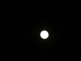 IMG_7524.JPG