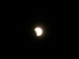 IMG_7528.JPG