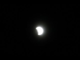 IMG_7532.JPG