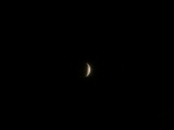 IMG_7534.JPG