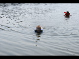 IMG_7729.JPG